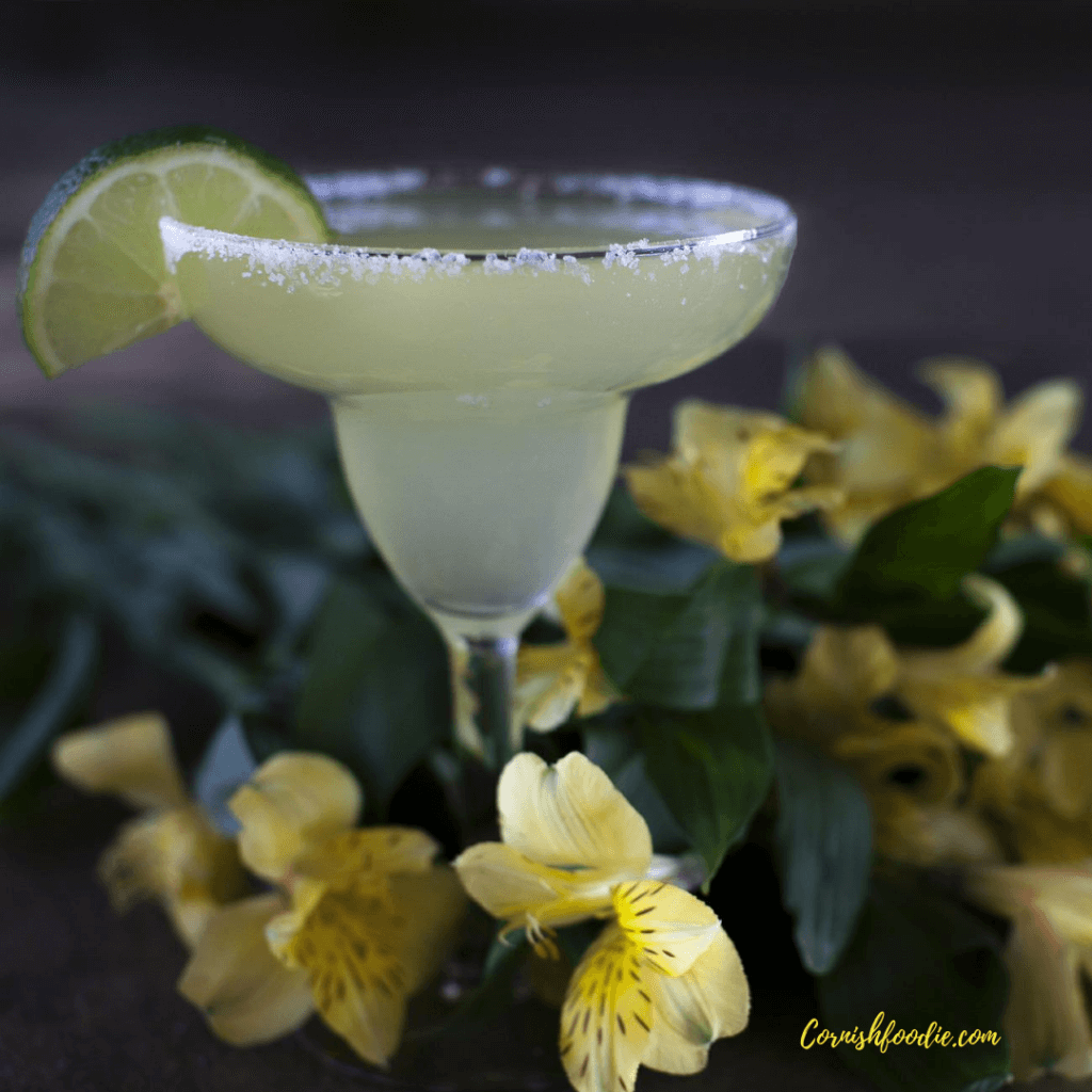 Margarita cocktail